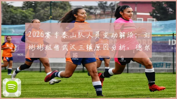 2026赛季泰山队人员变动解读：刘彬彬租借武汉三镇原因分析，德尔加多加盟大连英博前景展望