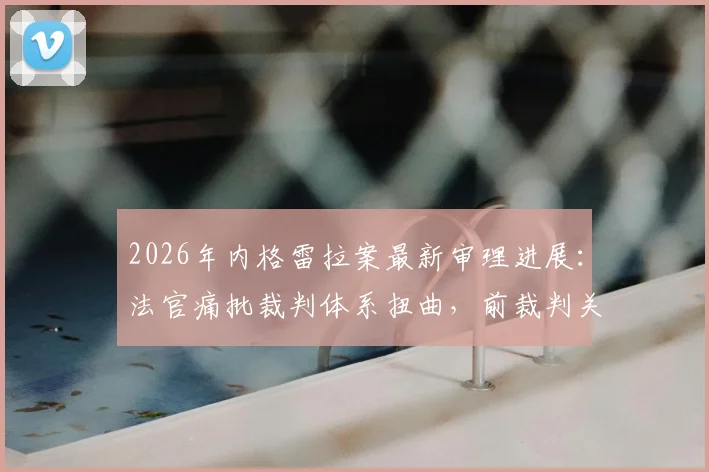 2026年内格雷拉案最新审理进展：法官痛批裁判体系扭曲，前裁判关键证词披露