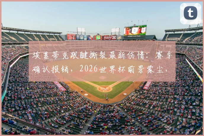 埃基蒂克跟腱撕裂最新伤情:赛季确认报销,2026世界杯前景蒙尘,对巴黎圣日耳曼影响几何?